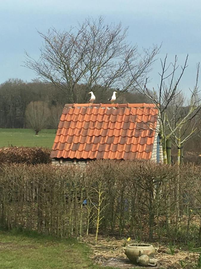 B&B De Hostelier Ursel Esterno foto